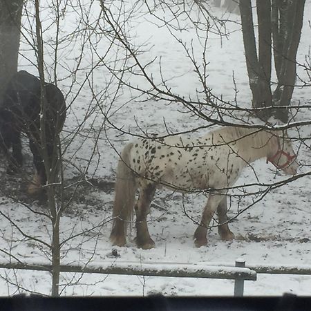Penzion Na Slunicku Mariánská Zewnętrze zdjęcie