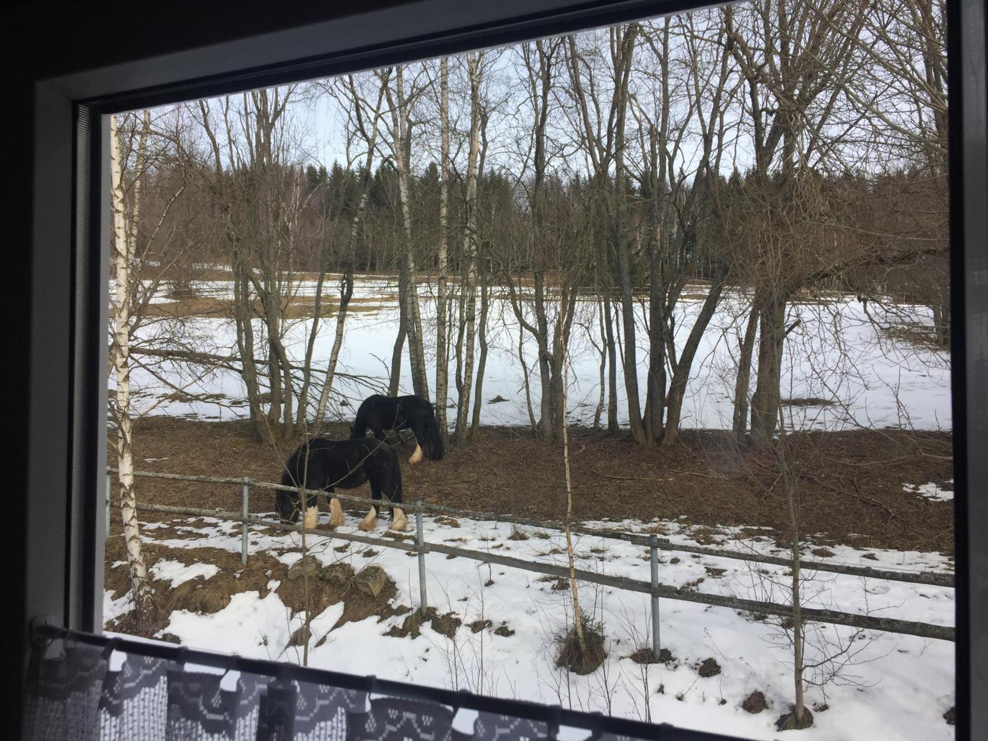 Penzion Na Slunicku Mariánská Zewnętrze zdjęcie